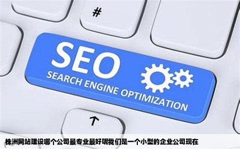 株洲网站建设哪个公司最专业最好呢我们是一个小型的企业公司现在