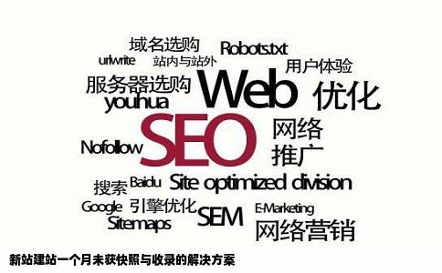 新站建站一个月未获快照与收录的解决方案
