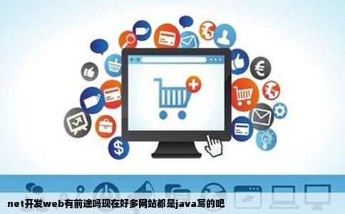 net开发web有前途吗现在好多网站都是java写的吧