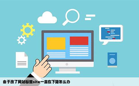 由于改了网站标签site一直在下降怎么办