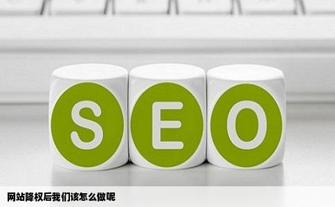 网站降权后我们该怎么做呢