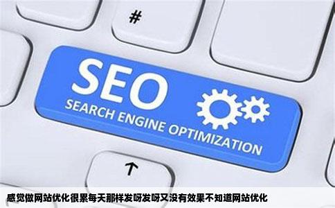 感觉做网站优化很累每天那样发呀发呀又没有效果不知道网站优化