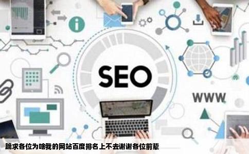 跪求各位为啥我的网站百度排名上不去谢谢各位前辈