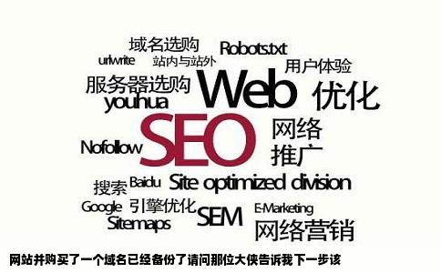 网站并购买了一个域名已经备份了请问那位大侠告诉我下一步该