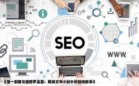 《第一刺客女婿修罗卖菜：网络文学小站中的独特故事》