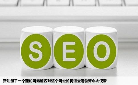 新注册了一个新的网站域名对这个网址如何进去哪位好心大侠帮
