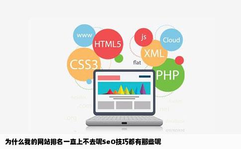 为什么我的网站排名一直上不去呢SeO技巧都有那些呢