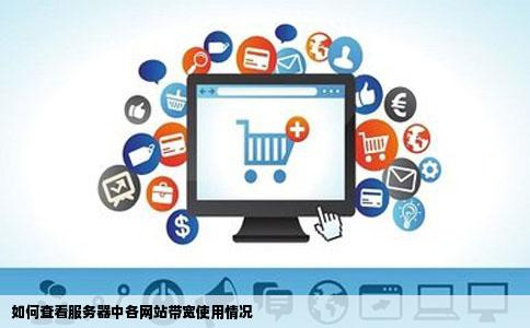 如何查看服务器中各网站带宽使用情况