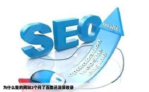 为什么我的网站2个月了百度还没没收录