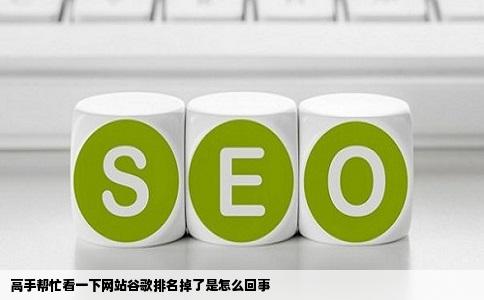 高手帮忙看一下网站谷歌排名掉了是怎么回事