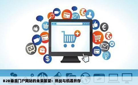 B2B垂直门户网站的未来展望：挑战与机遇并存
