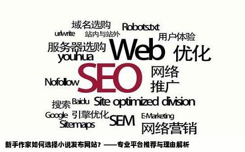 新手作家如何选择小说发布网站？——专业平台推荐与理由解析