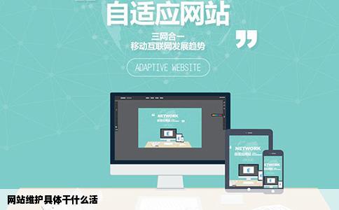 网站维护具体干什么活