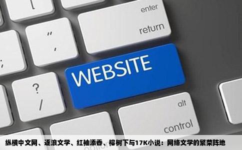 纵横中文网、逐浪文学、红袖添香、榕树下与17K小说：网络文学的繁荣阵地