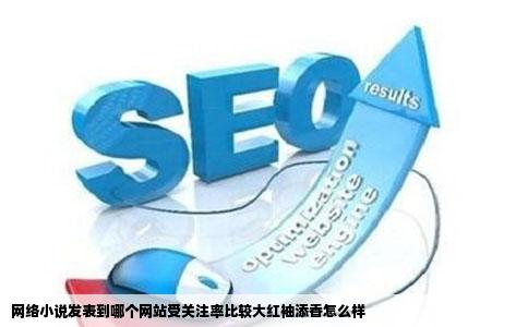 网络小说发表到哪个网站受关注率比较大红袖添香怎么样