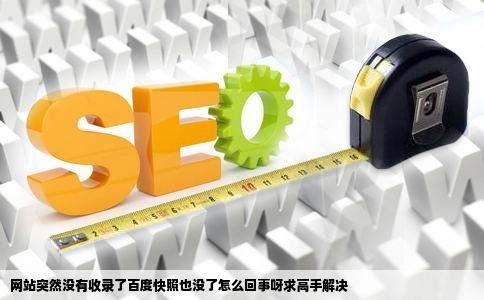 网站突然没有收录了百度快照也没了怎么回事呀求高手解决