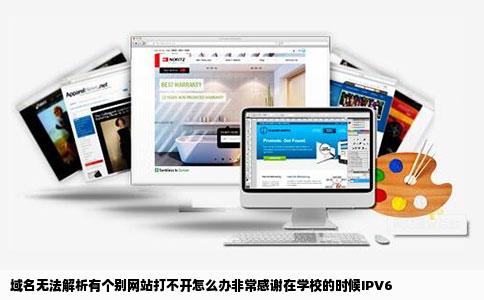 域名无法解析有个别网站打不开怎么办非常感谢在学校的时候IPV6