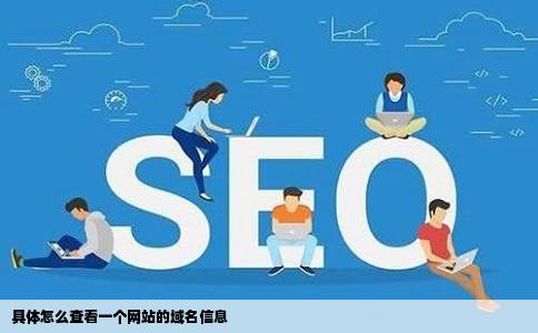 具体怎么查看一个网站的域名信息
