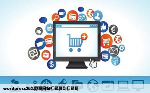 wordpress怎么隐藏网站标题和副标题啊