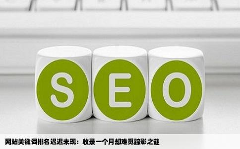 网站关键词排名迟迟未现：收录一个月却难觅踪影之谜