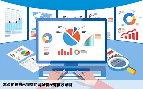 怎么知道自己提交的网站有没有被收录啊