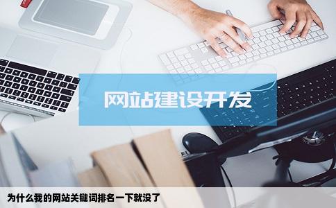 为什么我的网站关键词排名一下就没了