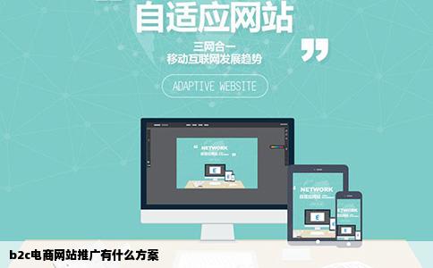 b2c电商网站推广有什么方案