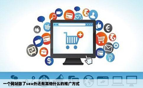 一个网站除了seo外还有其他什么的推广方式