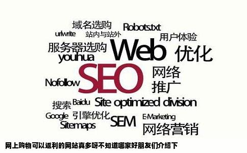 网上购物可以返利的网站真多呀不知道哪家好朋友们介绍下