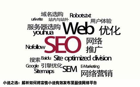 小说之选：解析如何将言情小说有效发布至最佳网络平台