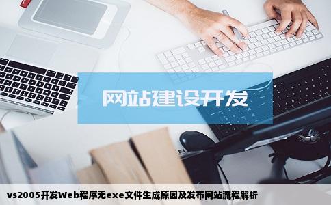 vs2005开发Web程序无exe文件生成原因及发布网站流程解析