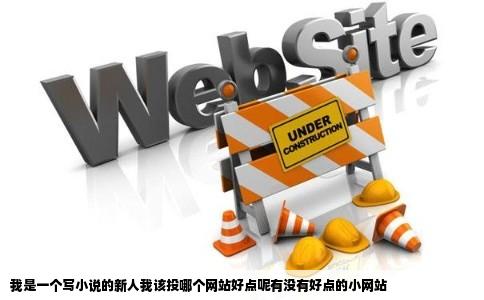 我是一个写小说的新人我该投哪个网站好点呢有没有好点的小网站