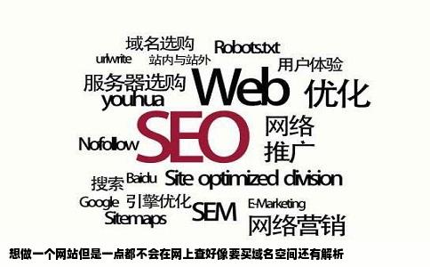 想做一个网站但是一点都不会在网上查好像要买域名空间还有解析