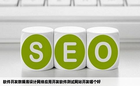 软件开发数据库设计网络应用开发软件测试网站开发哪个好
