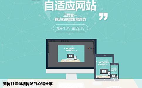 如何打造盈利网站的心得分享