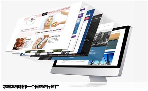 求救怎样制作一个网站进行推广