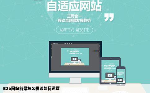 B2b网站前景怎么样该如何运营