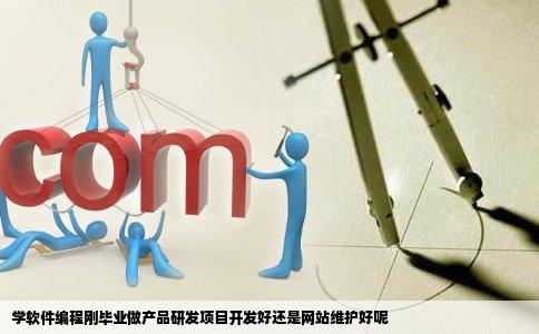 学软件编程刚毕业做产品研发项目开发好还是网站维护好呢