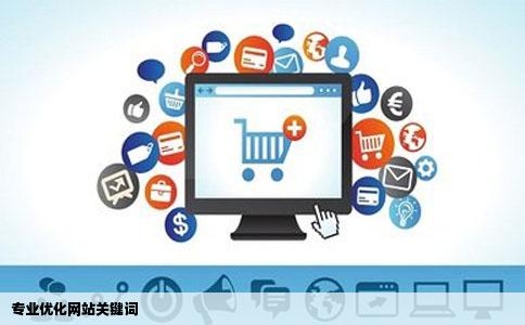 专业优化网站关键词
