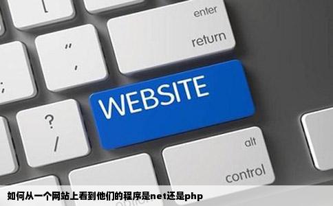 如何从一个网站上看到他们的程序是net还是php