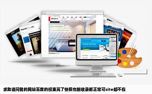 求助请问我的网站百度的权重高了快照也新收录都正常可site却不在