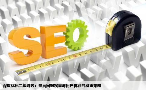 深度优化二级域名：提高网站权重与用户体验的双重策略