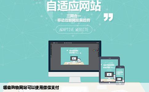 哪些购物网站可以使用微信支付