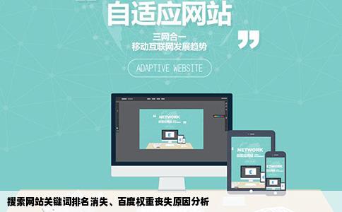 搜索网站关键词排名消失、百度权重丧失原因分析