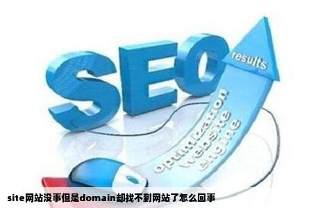 site网站没事但是domain却找不到网站了怎么回事
