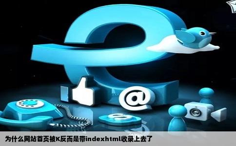 为什么网站首页被K反而是带indexhtml收录上去了