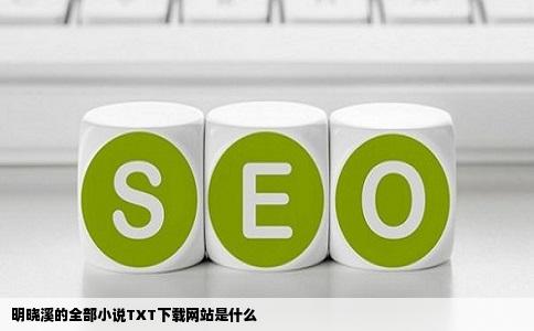 明晓溪的全部小说TXT下载网站是什么