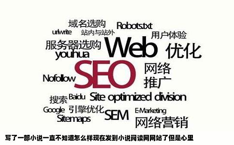 写了一部小说一直不知道怎么样现在发到小说阅读网网站了但是心里