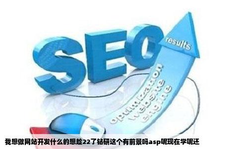 我想做网站开发什么的想趁22了钻研这个有前景吗asp呢现在学呢还
