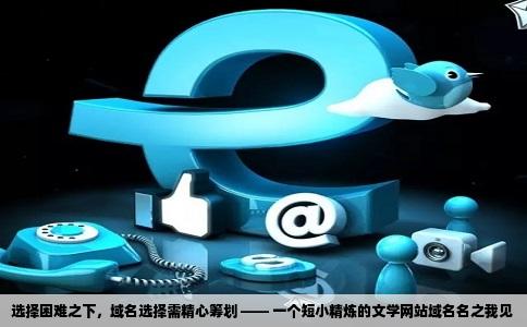 选择困难之下，域名选择需精心筹划 —— 一个短小精炼的文学网站域名名之我见